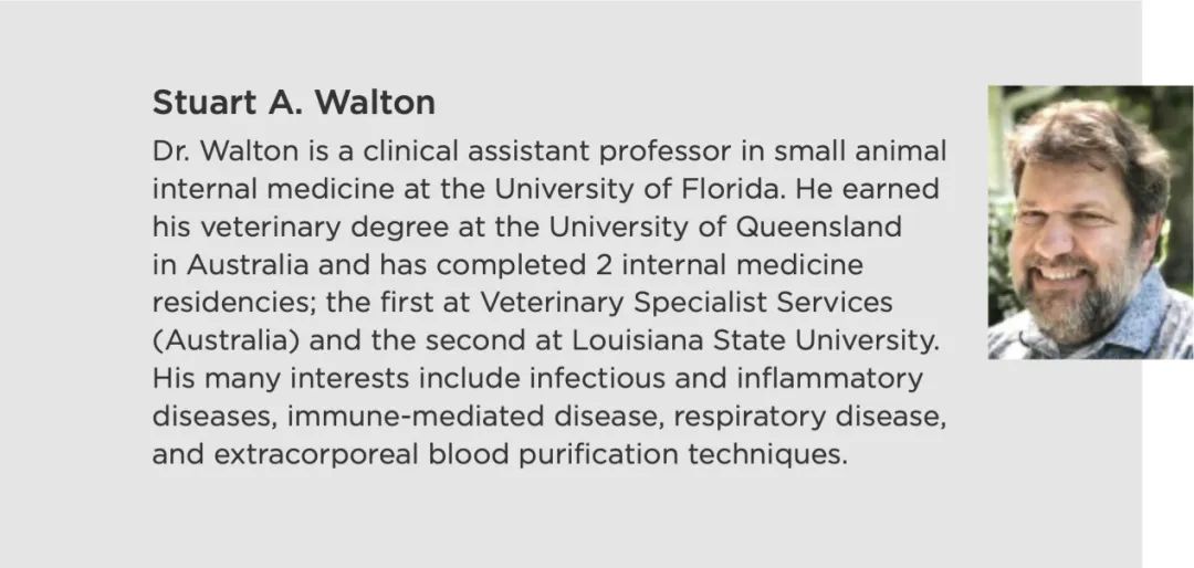 急性胰腺炎好治疗吗,犬急性胰腺炎怎么预防