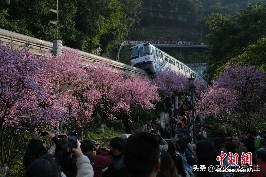 早新闻2.28|这样拼假，可连休9天！方案公示！涉石家庄3个旧区及城中村改造；封禁，冻结！微信严打此类行为