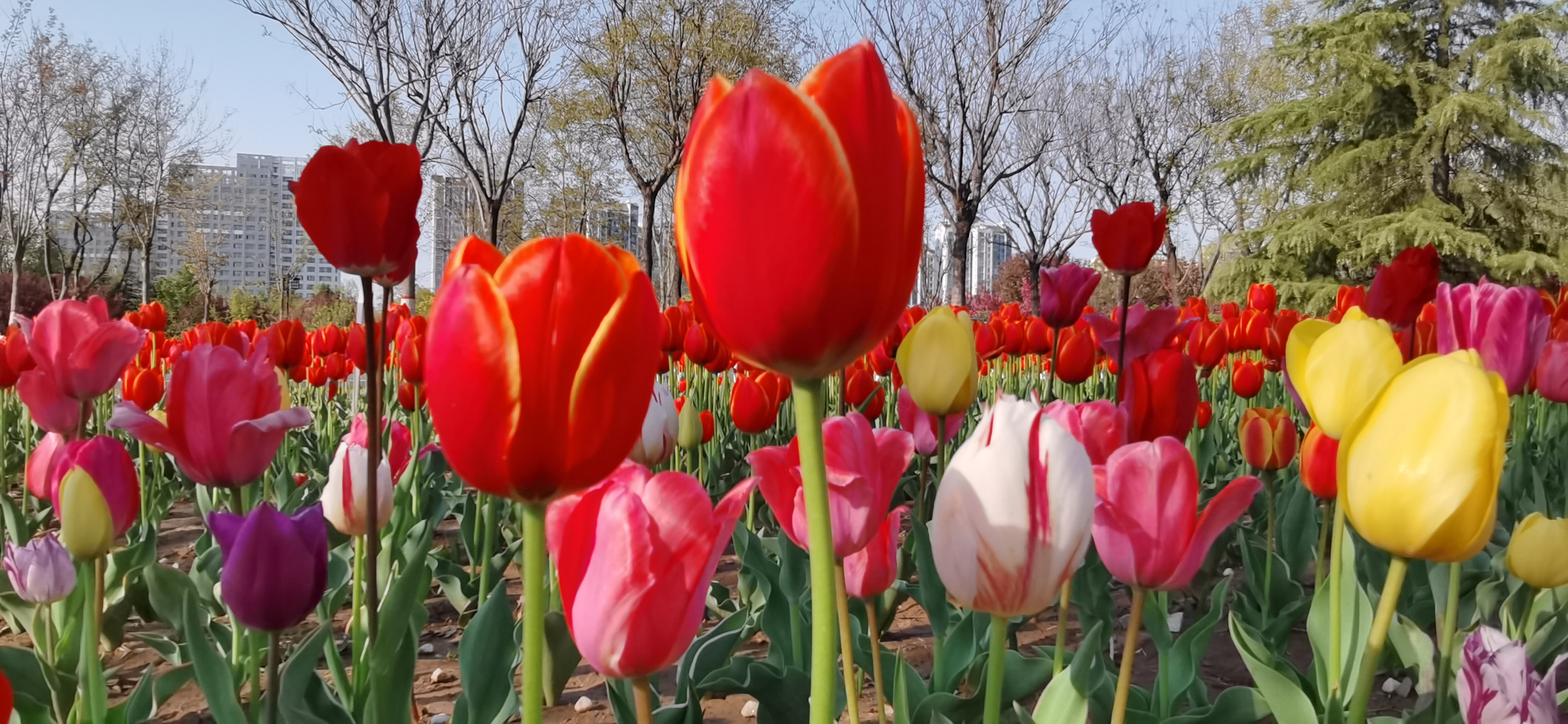 2023090期福彩3D游戏：两个0路号码组合14期没有开出来了