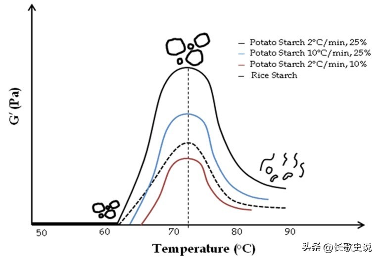 小麦淀粉糊化的温度是多少度,小麦淀粉高温糊化后有韧性吗