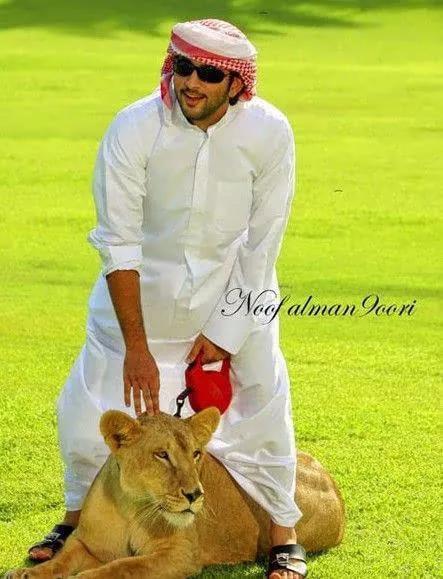 迪拜王子哈曼丹写情诗,迪拜哈曼丹王子兄弟