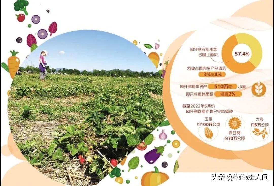 外媒评价匈牙利力挺中国,匈牙利在欧盟力挺中国