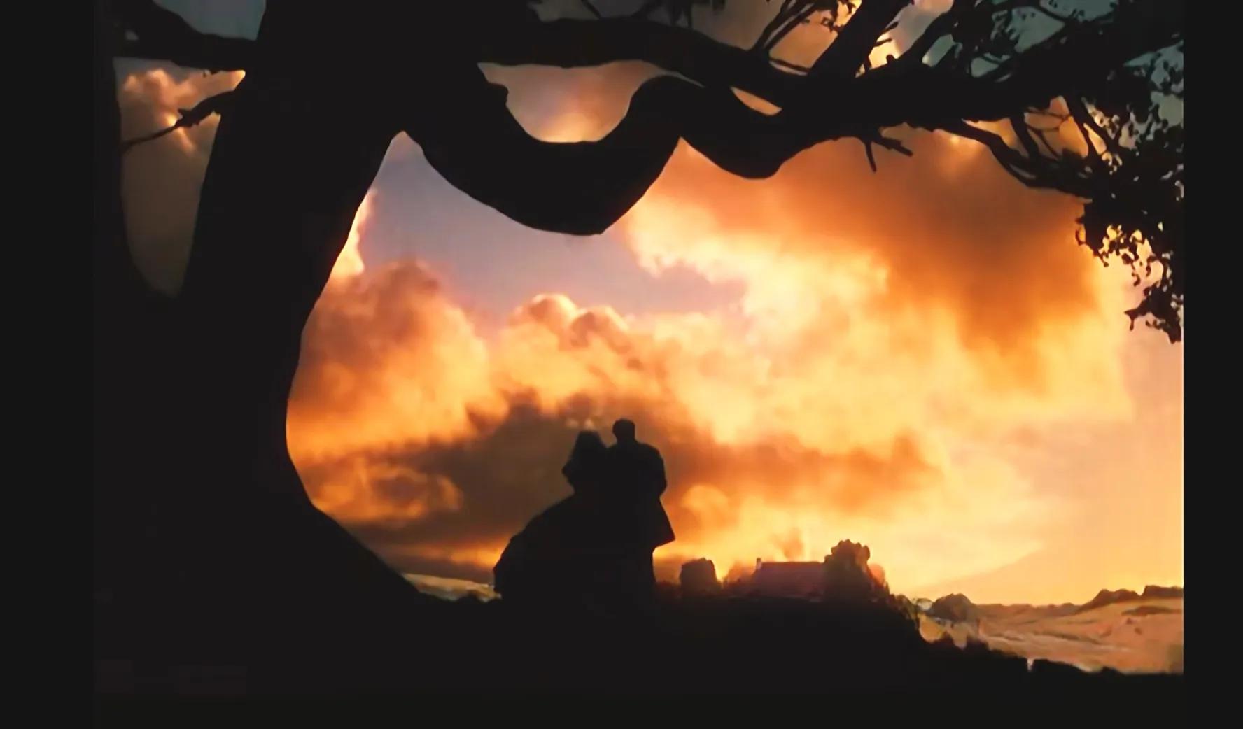 读懂女人心的电影推荐,推荐一部日久生情的电影