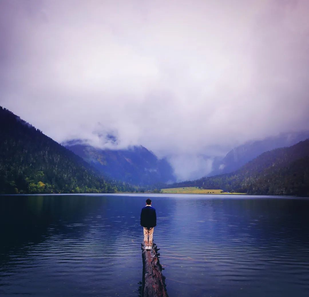 卢梭忏悔录里的精彩片段,卢梭忏悔录心得