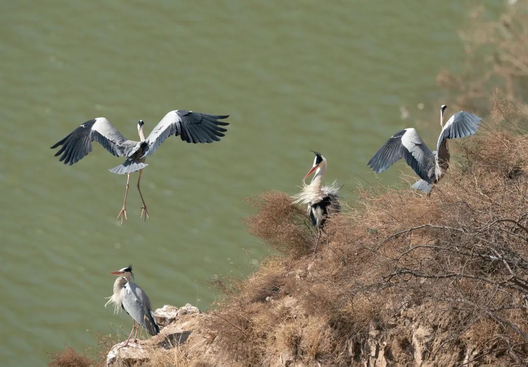 迎接党的20大美术作品,喜迎二十大乡村摄影展