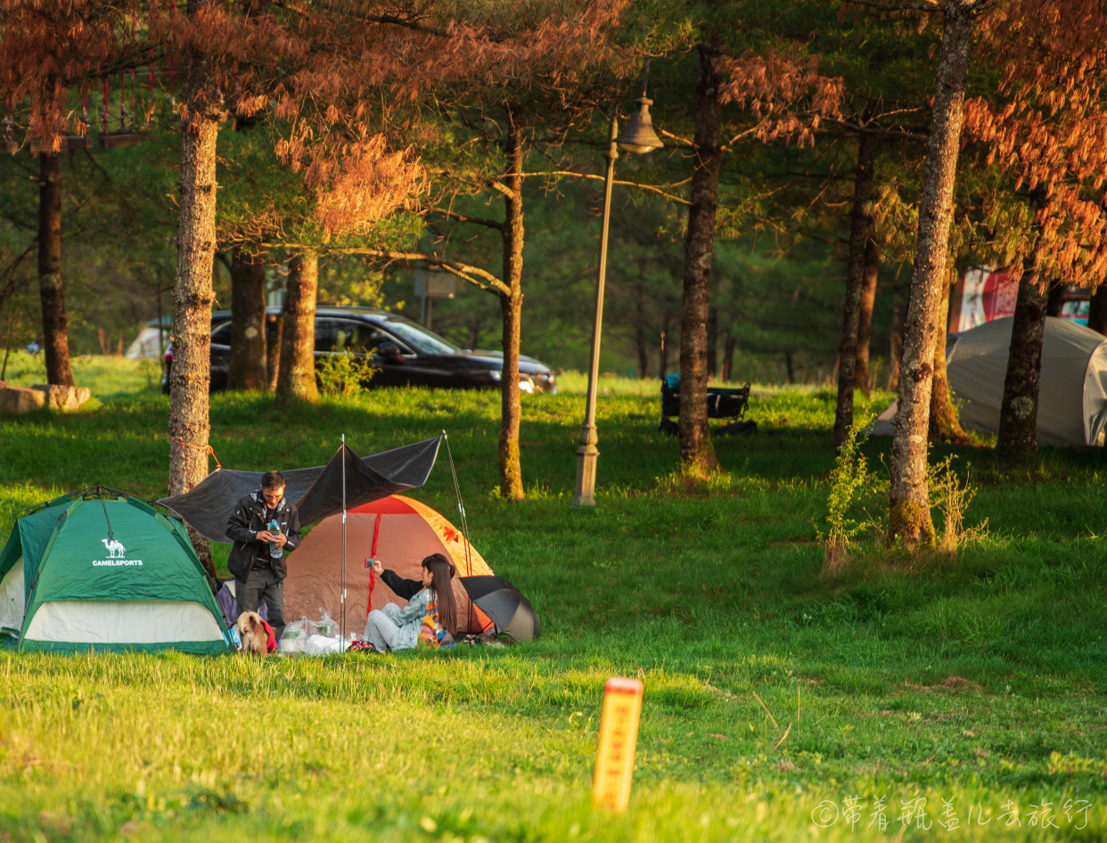 巫溪红池坝冬天自驾游攻略,巫溪红叶自驾游