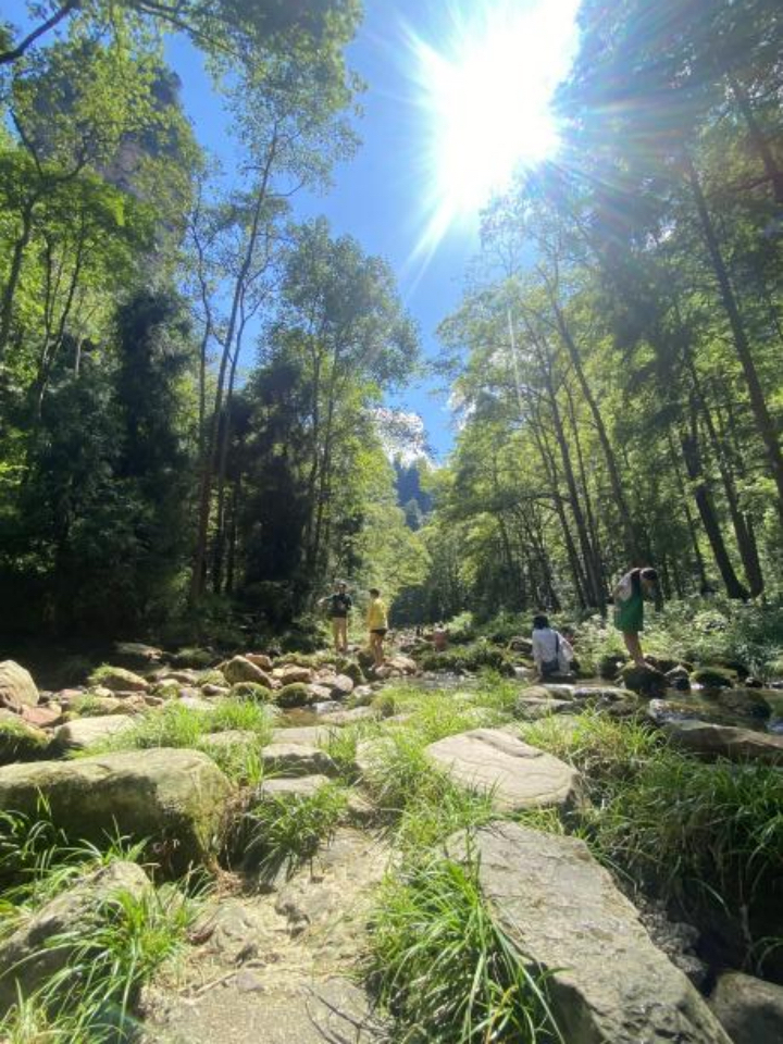 郴州长沙张家界五日游,湖南郴州张家界三日游