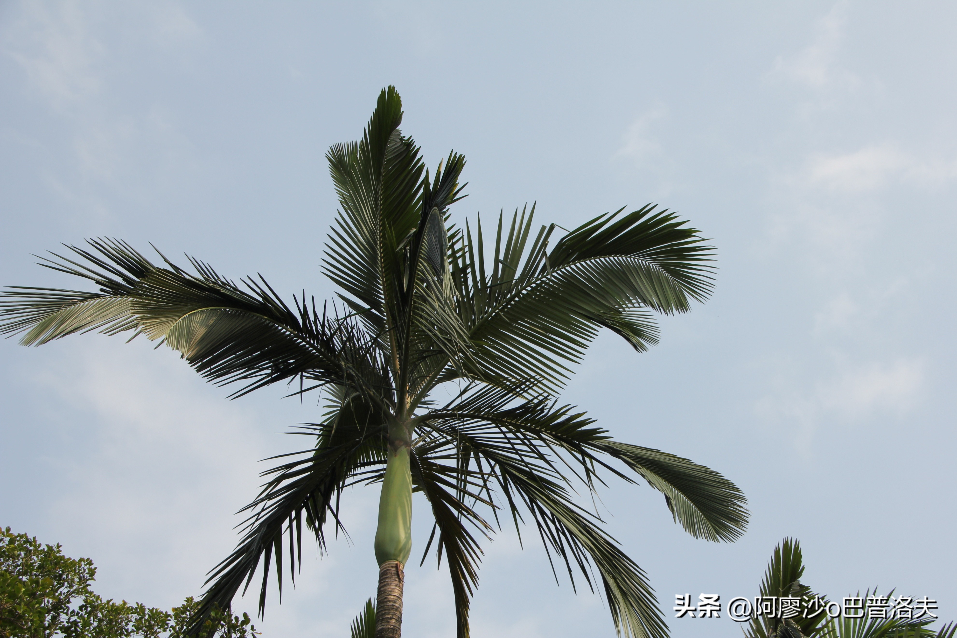 苹果12pm拍摄视频比12更好吗,佳能550d和iphone14拍摄对比