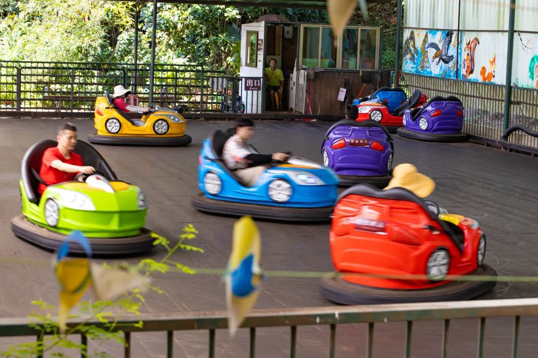 广州遛娃好玩的地方推荐,广州遛娃必去的景点