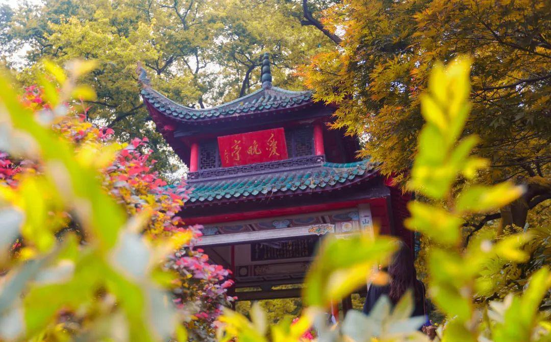 济宁11月特价机票,12月从天津出发特价机票大全