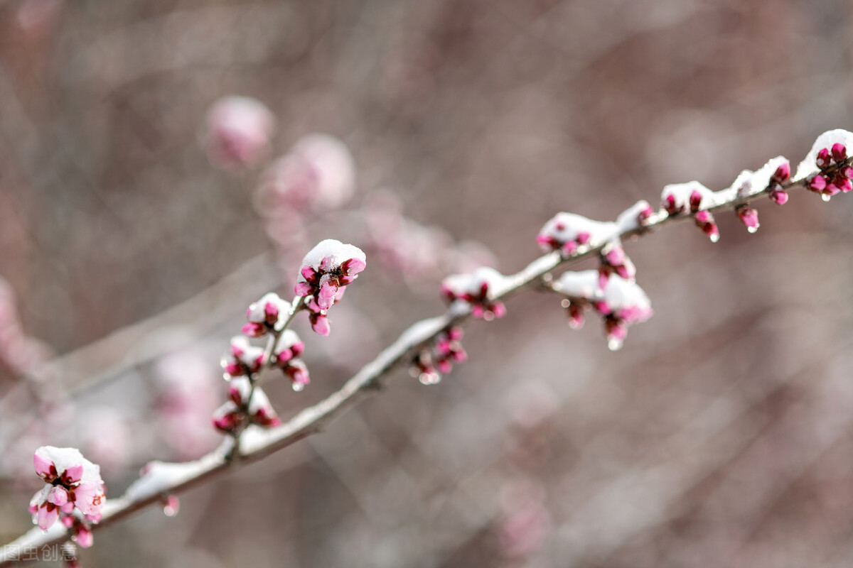 《海燕》仿写妙文之：卖水、卖辣条……让毛爷爷来得更多些吧