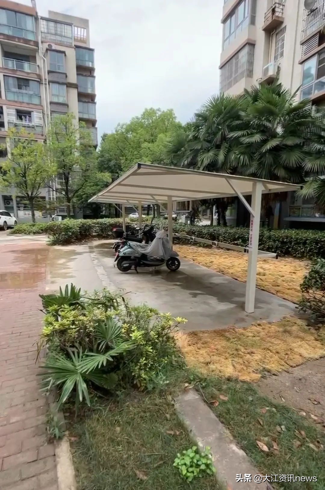 换了物业后这个小区焕然一新,换了物业的小区后来怎么样了