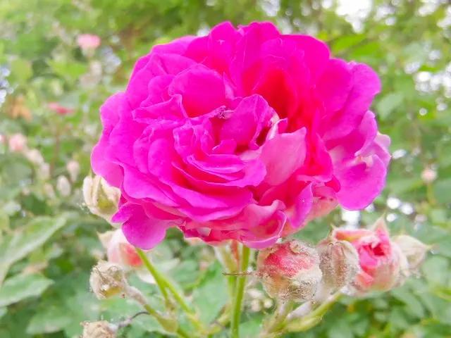 友友们千万别在评论区或私信留言“互”“关”等敏感词，会被扣分