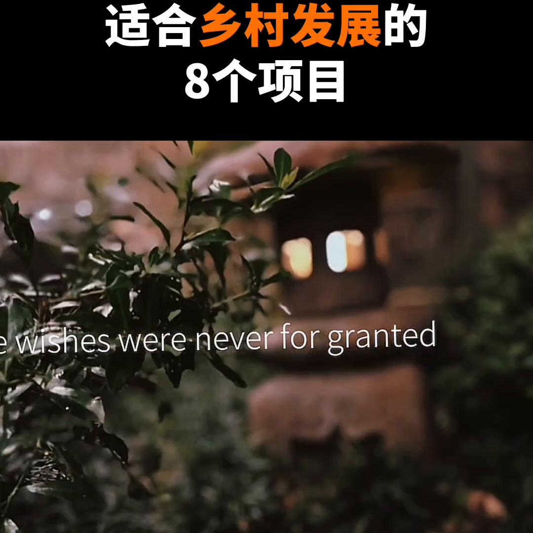 国家扶持三农致富项目,什么是三农重点扶持项目