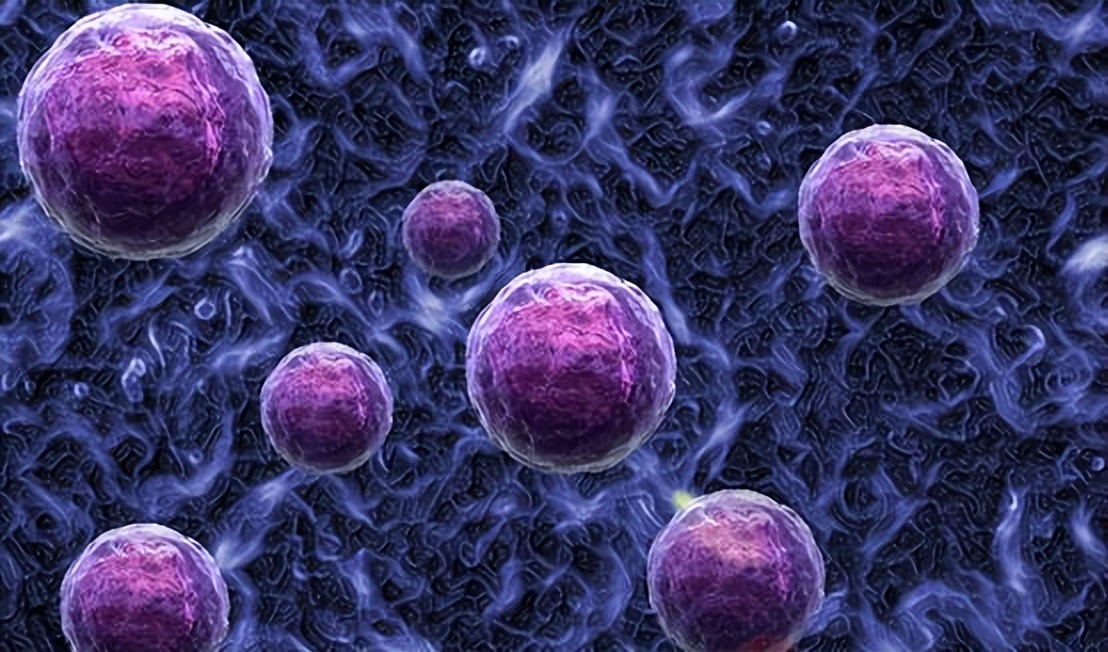 蛇盘疮越长越多怎么办,蛇盘疮腰缠一圈真的会要人命吗