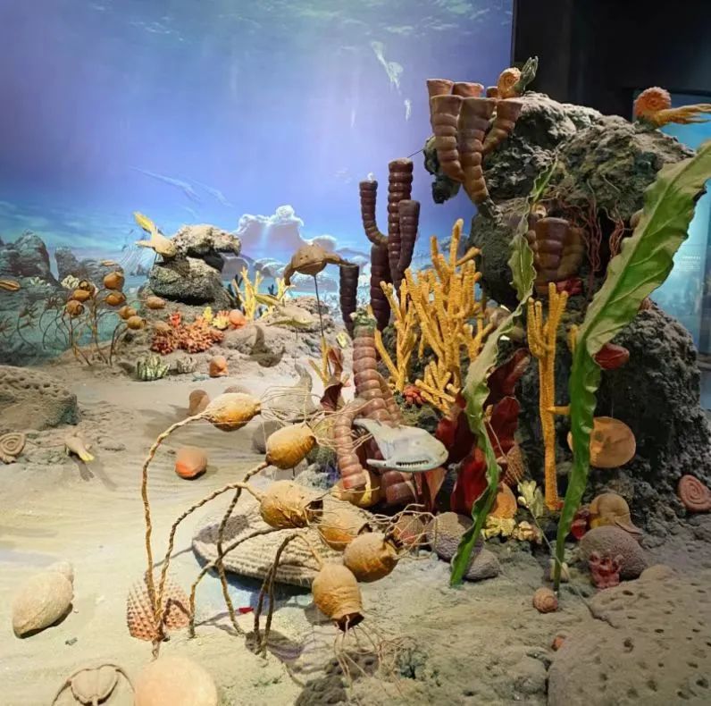 天津冬季遛娃,天津遛娃的免费公园