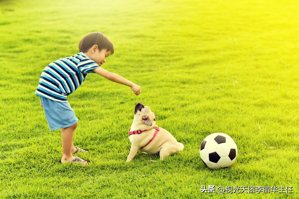 扔沙包的意义,丢沙包运动的好处