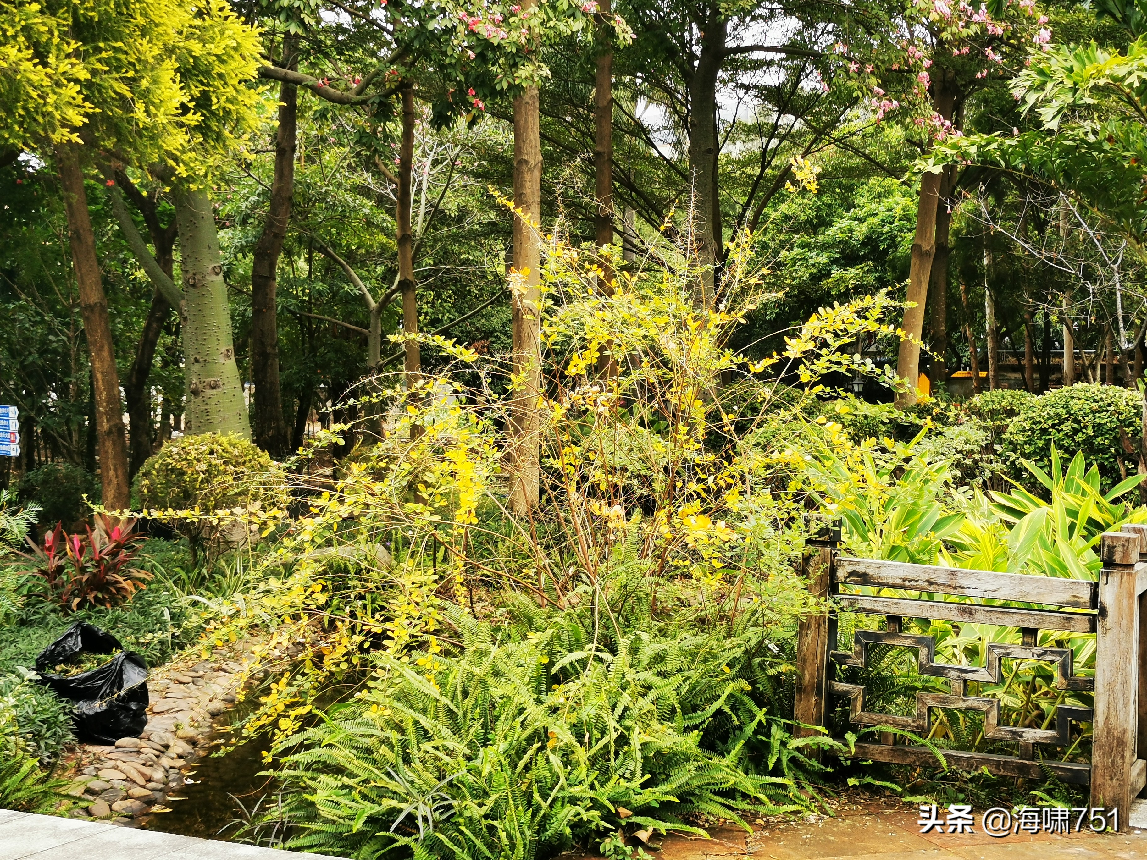 陈田花园全景图,陈田花园照片