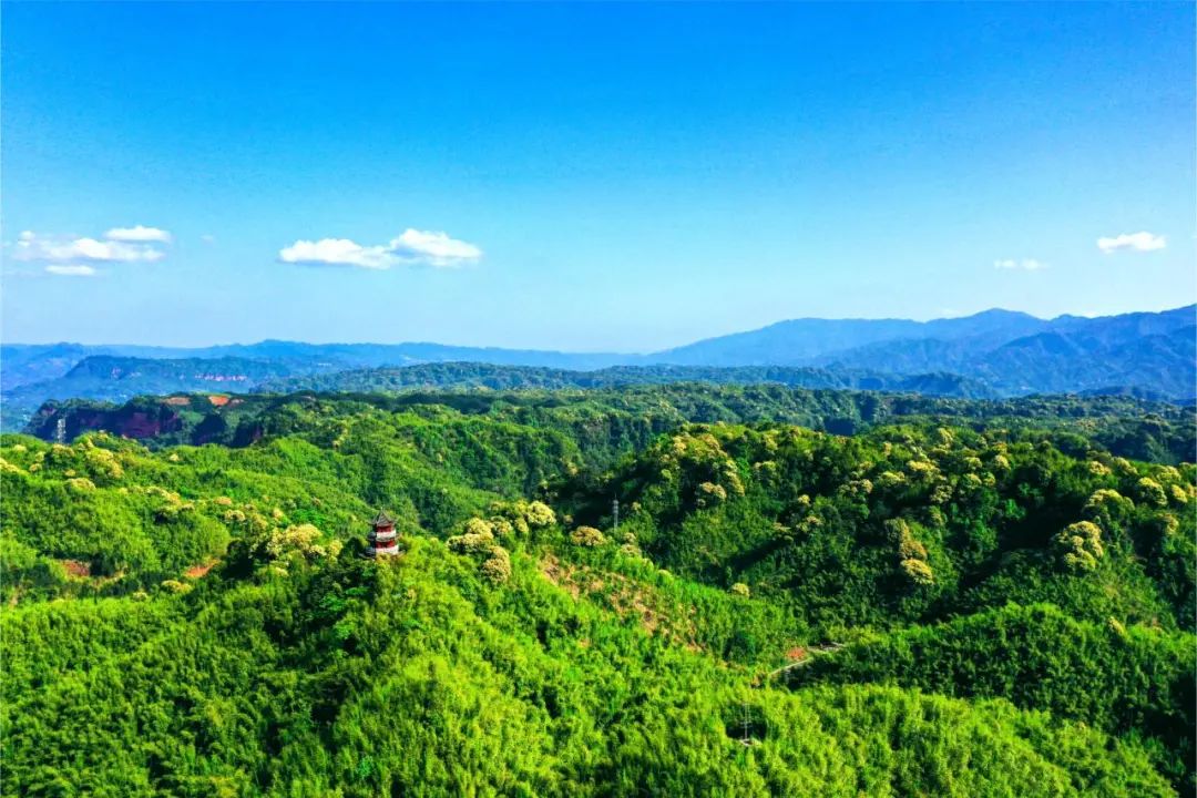 超燃多巴胺彩虹跑,多巴胺超燃视频