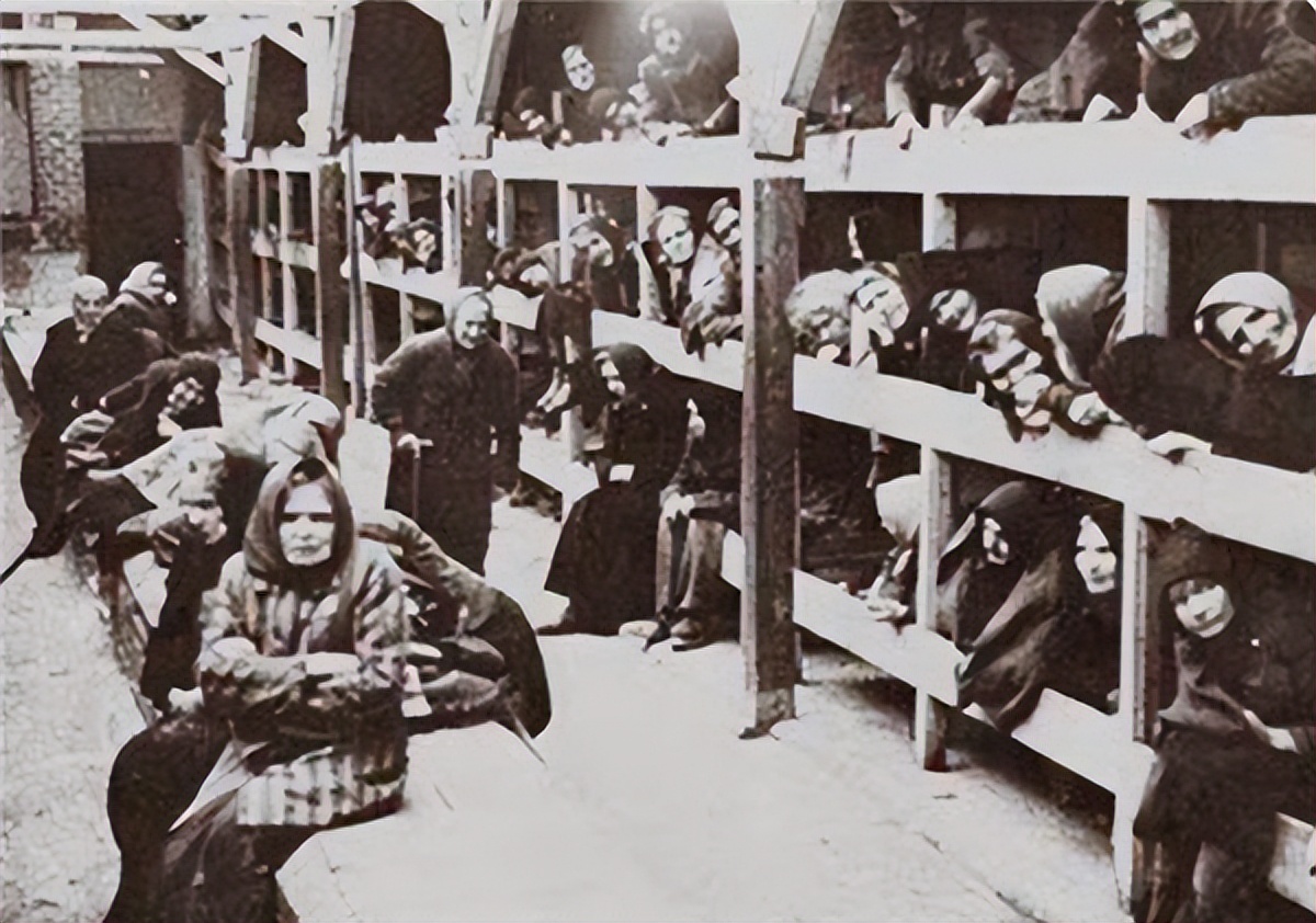 二战德国女兵死亡,二战后被处死的德国女战犯