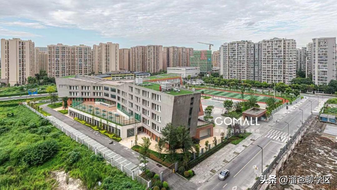 草堂子美,草堂子美怎么样