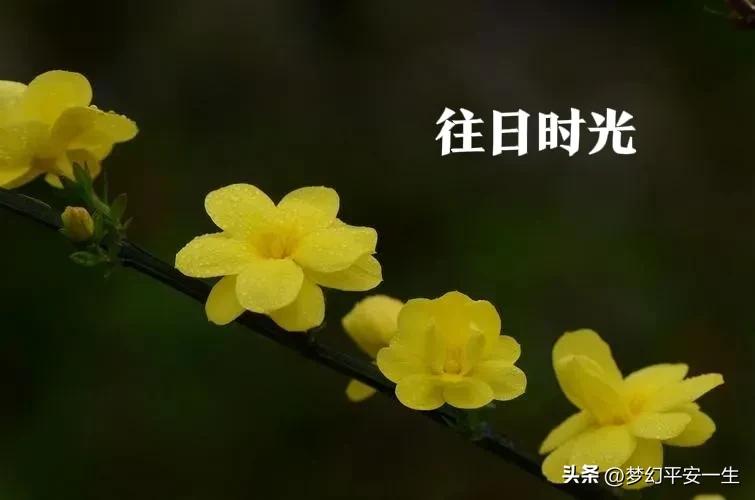 供销社经历的困难,怎么在供销社赚钱