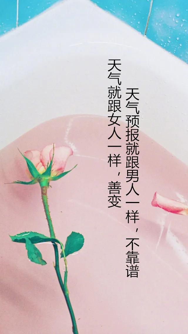 唯美手机壁纸高级感,唯美手机壁纸高清全面屏