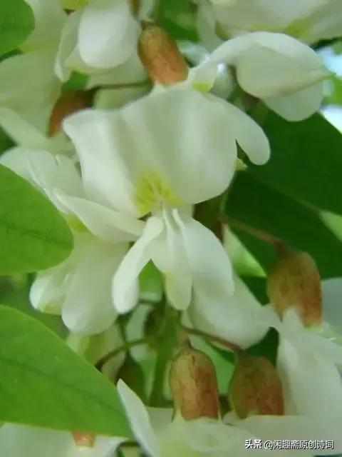 七律叹人生平水韵,七律平水一韵的诗