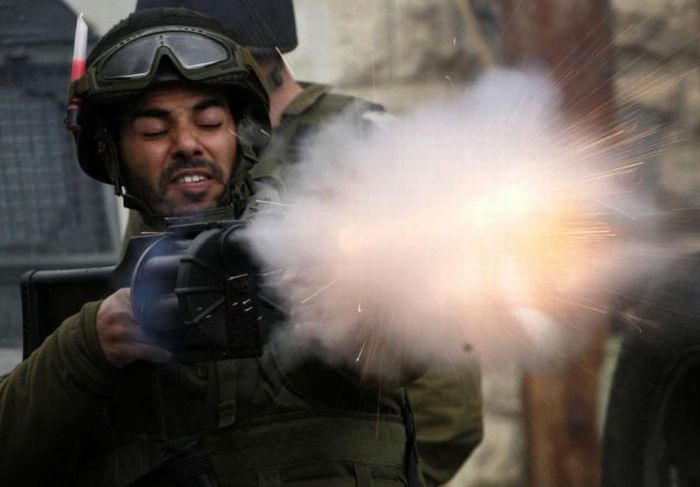 100个难得一见照片,难得一见12张照片