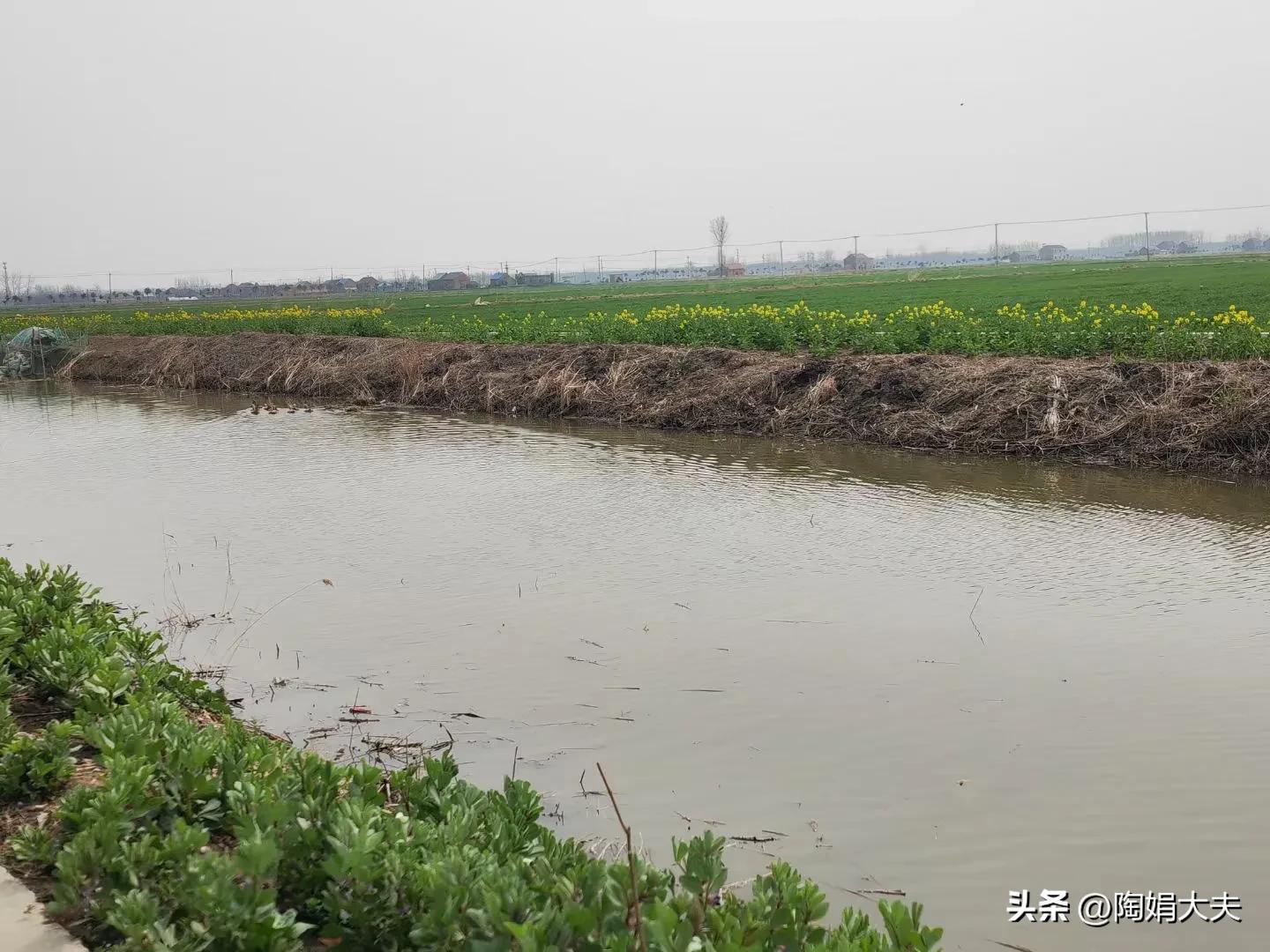 第一次绝经大姨妈不来怎么办,女人绝经后再来大姨妈正常吗