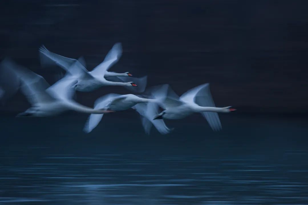 eosr6markii怎么拍照,eosr6markii追焦拍摄