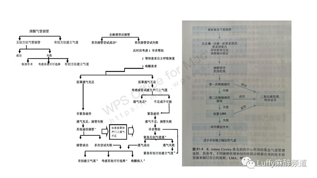 麻醉课件ppt免费下载,麻醉病例分享ppt模板