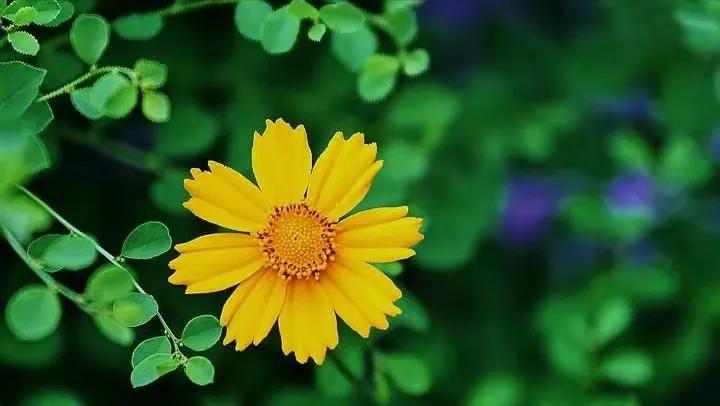 宁西高铁河南十四五高铁规划,宁西高铁纳入十四五规划了吗