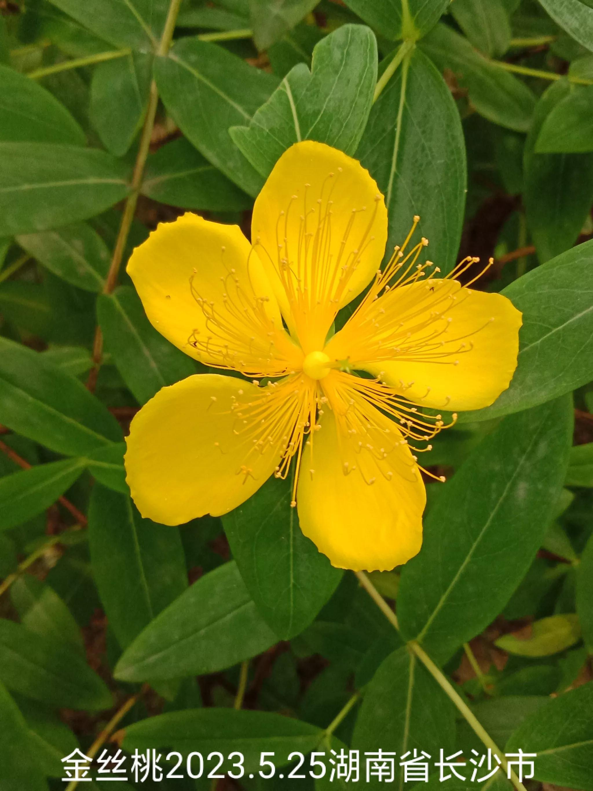 微信群忘保存找不到怎么办,怎么保存微信群里面的人