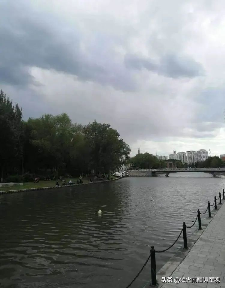 辽宁野生淡干海参,野生辽宁干海参