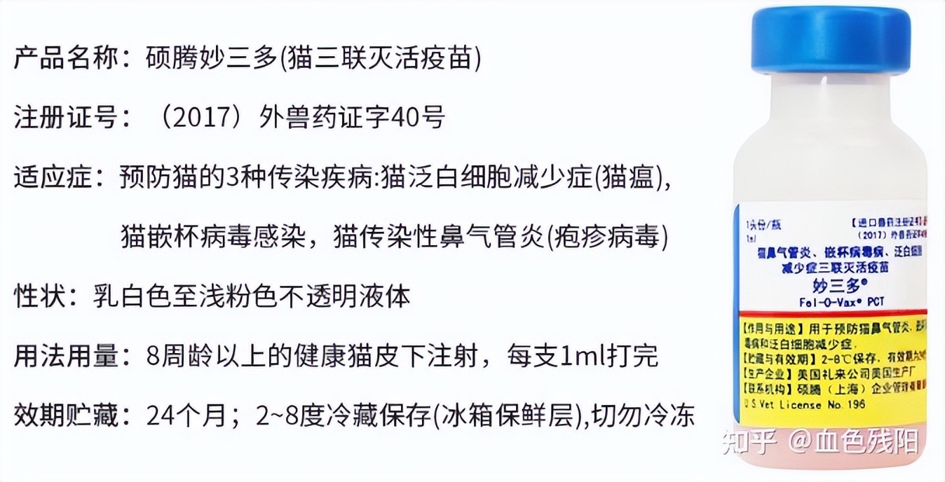 长寿猫咪,猫咪长寿