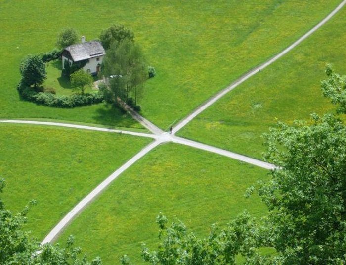 100个难得一见照片,难得一见12张照片