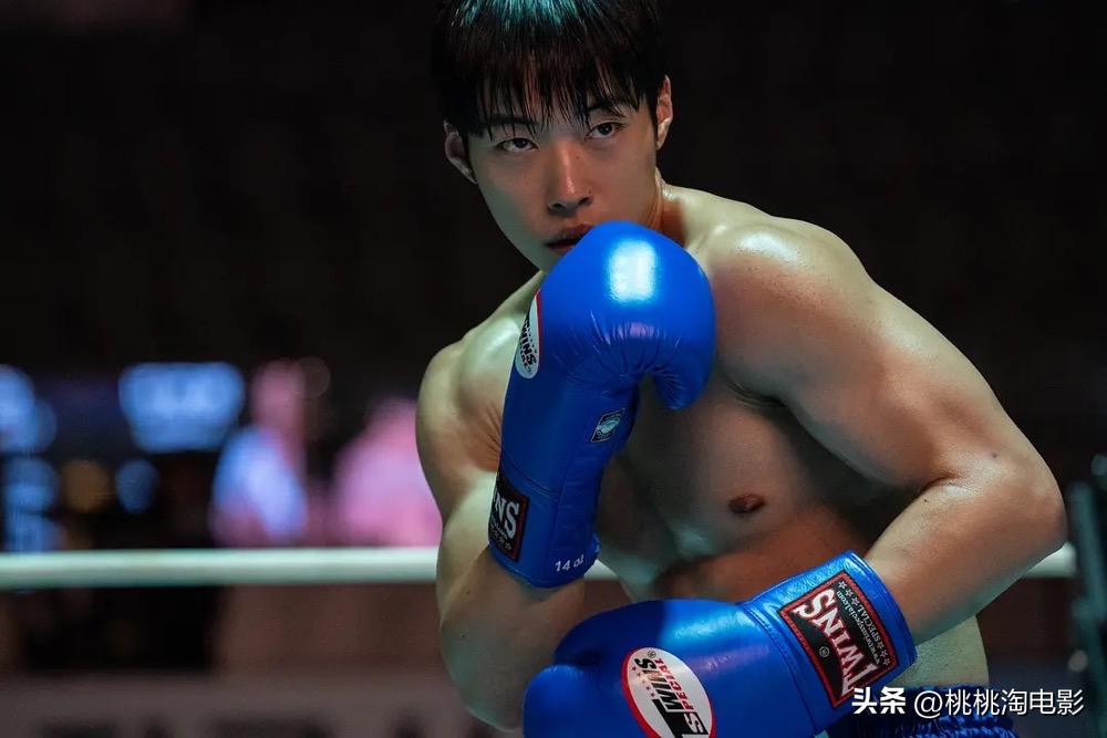 六月有什么好看的新剧,六月份新剧推荐