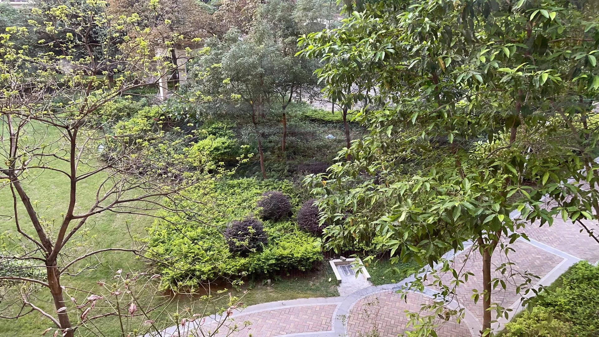 红日江景办证,红日江景最新