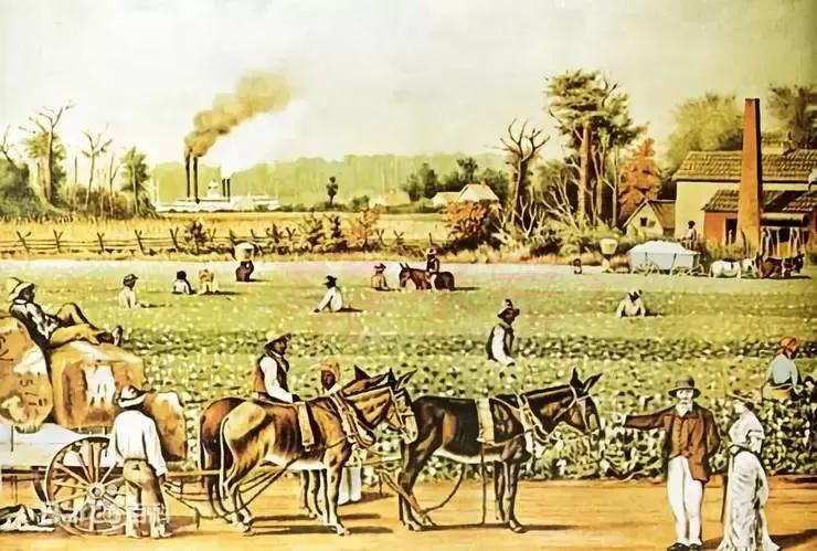 美国的奴隶制经济,美国奴隶时期的经济