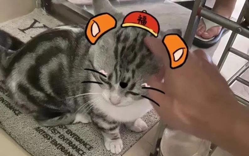 天啊,在网上刷到了前老板的送外卖日记#X351