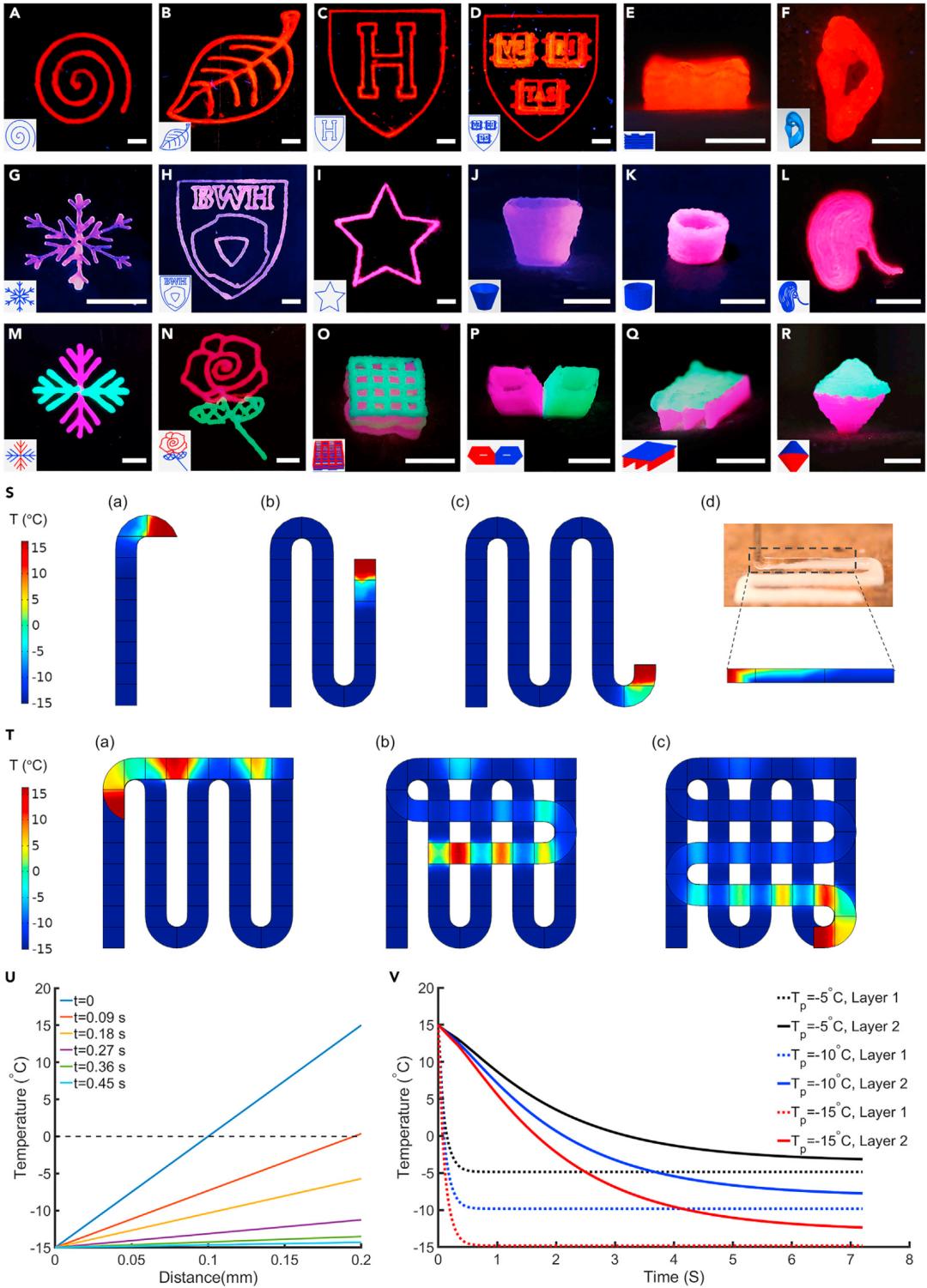 抗冻水凝胶生物敷料,抗冻水凝胶