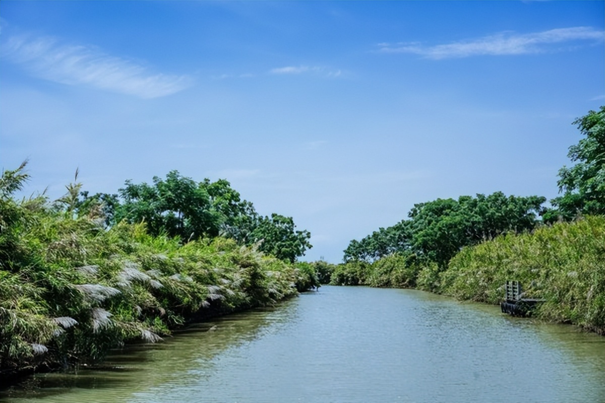湾区光影魅力,南沙湾区超美风景线