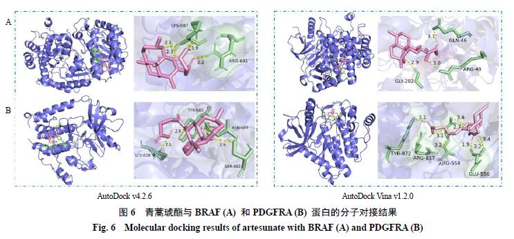 青蒿琥酯抗肿瘤作用,青蒿琥酯治疗效果怎么样