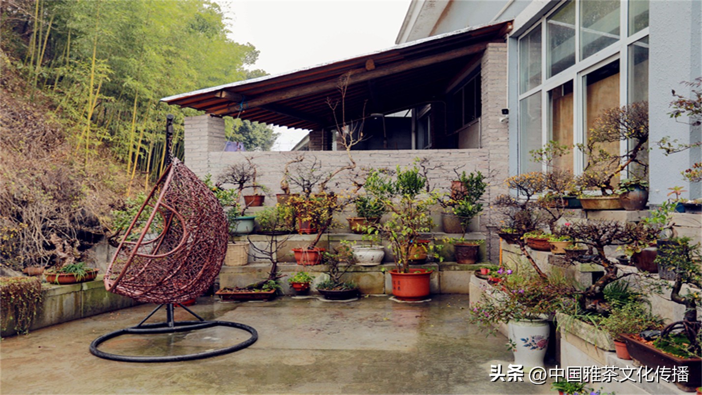 人生在世开心就好做喜欢的事,人生在世开心就好