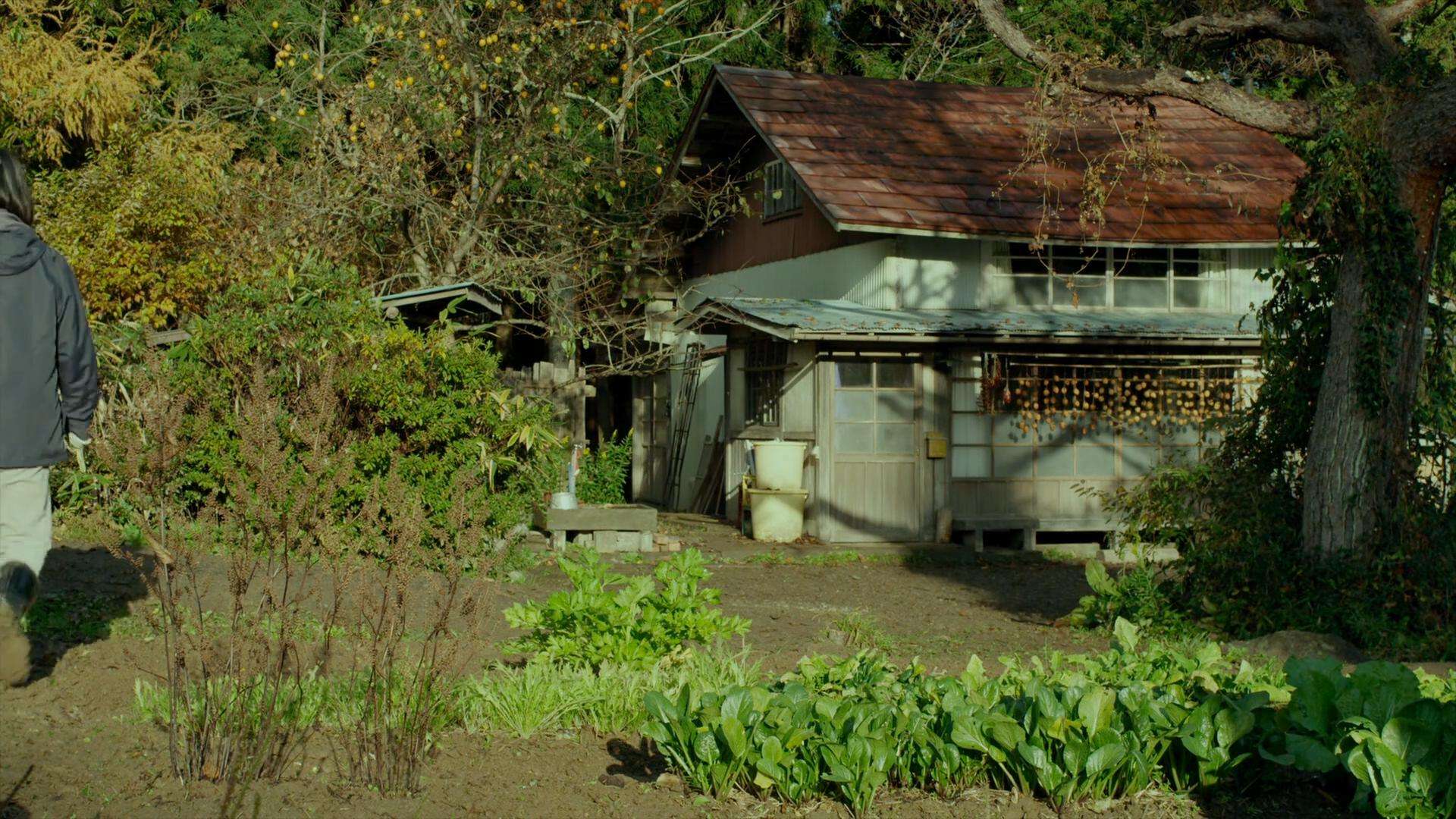 日本电影小森林简介,日本治愈系电影小森林海报