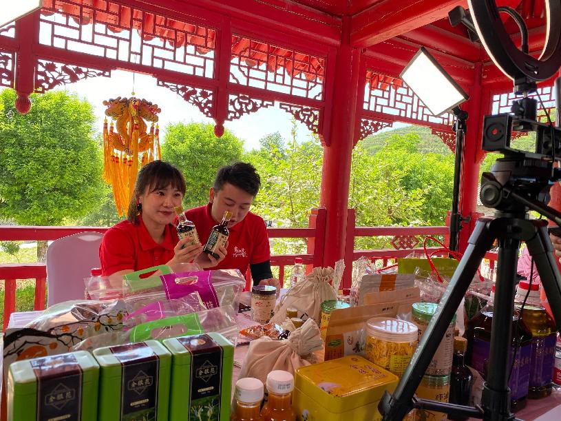 互联网电商直播带货发展规划,互联网农产品直播营销方案