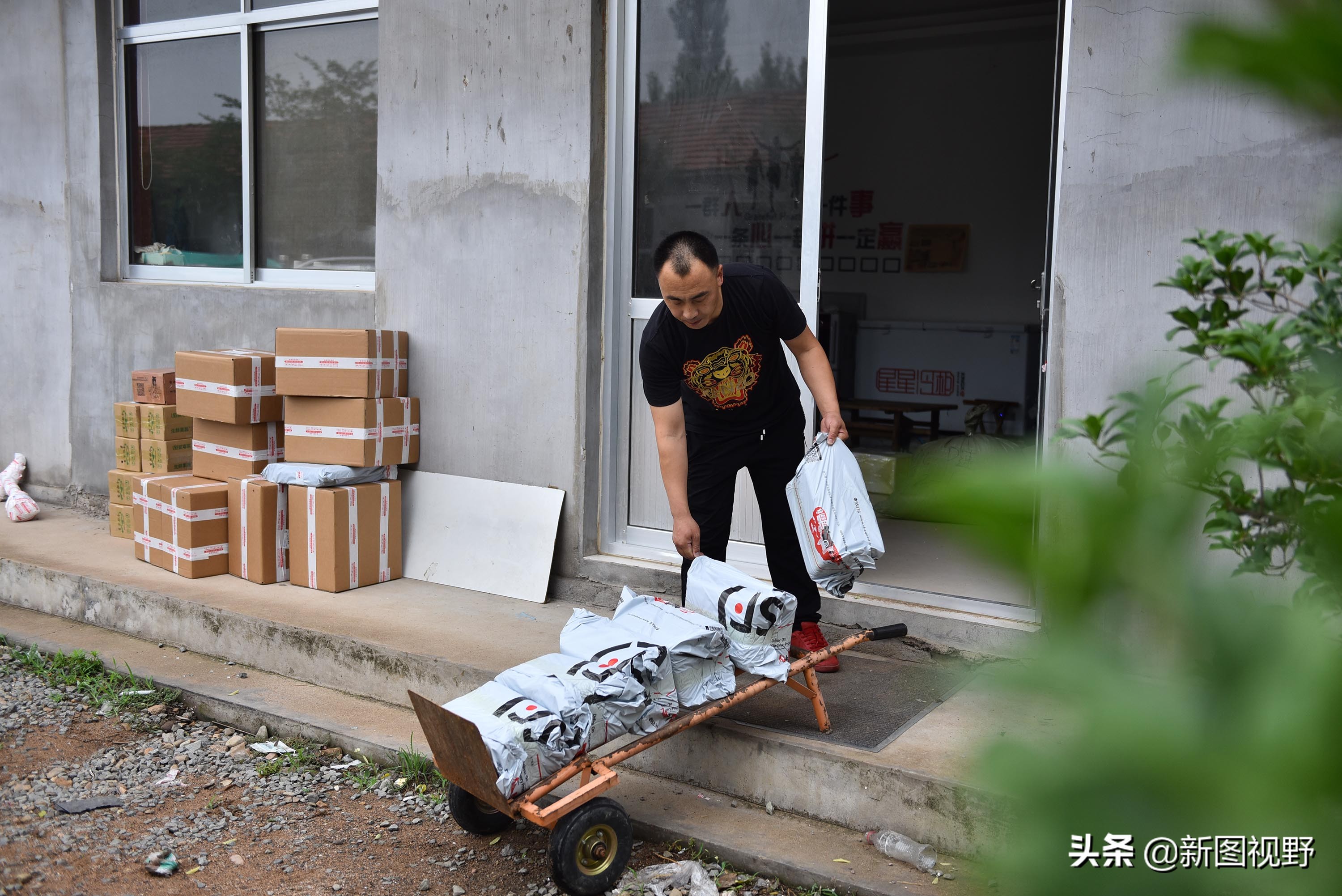 35岁青年网售金蝉爆单，有人一次买2000只，发快递忙得没时间吃饭