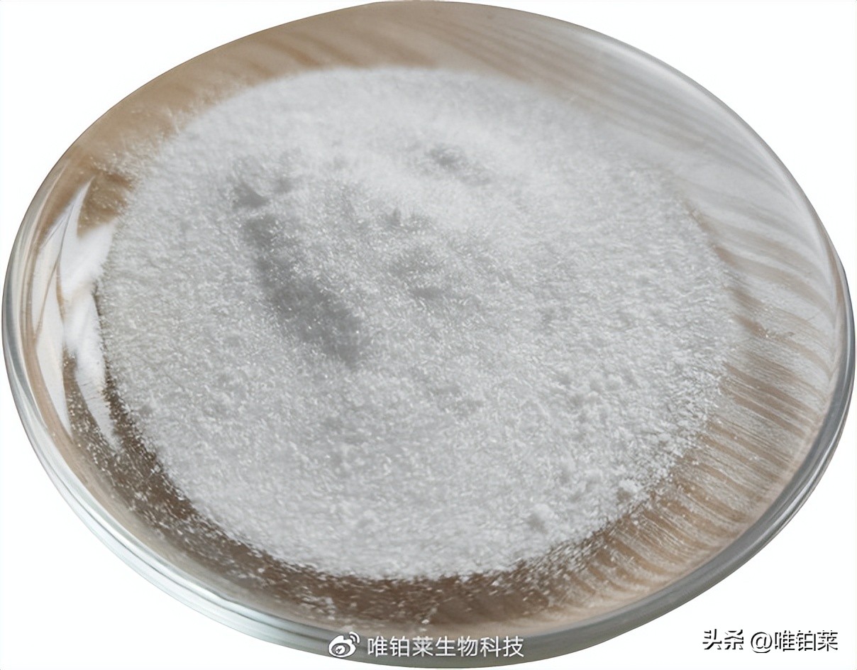 老树新芽能成材吗,老树能刻芽吗