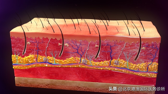 不幸被烫伤如何处理,意外烫伤的急救方法与禁忌
